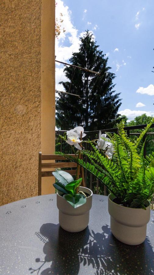 Lk43-Lodging City-Apartments, Kontaktlos Mit Self Check-In Грац Экстерьер фото